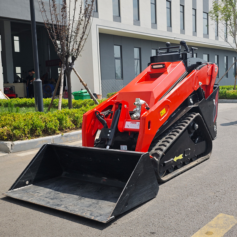Skid Steer Loader HT1000